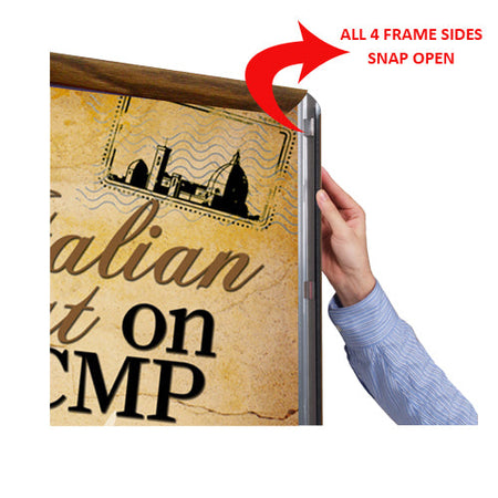 16x24 Frames, SwingFrame Classic Poster Display Frames