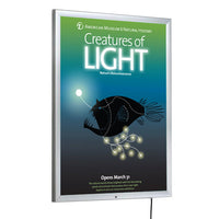 Outdoor 24x36 LED Light Box, Weatherproof Poster Snap Frame Locking with Silver Finish